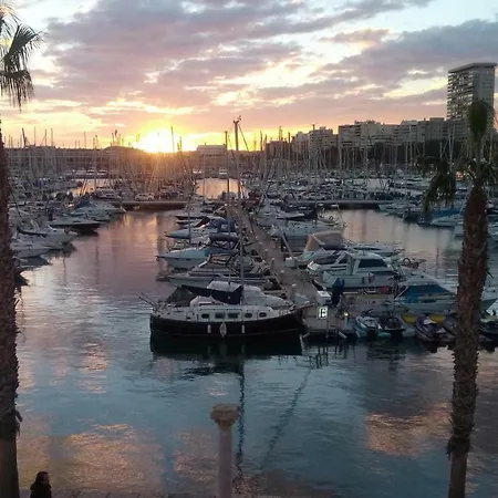 Love Alicante بيت شباب لقنت